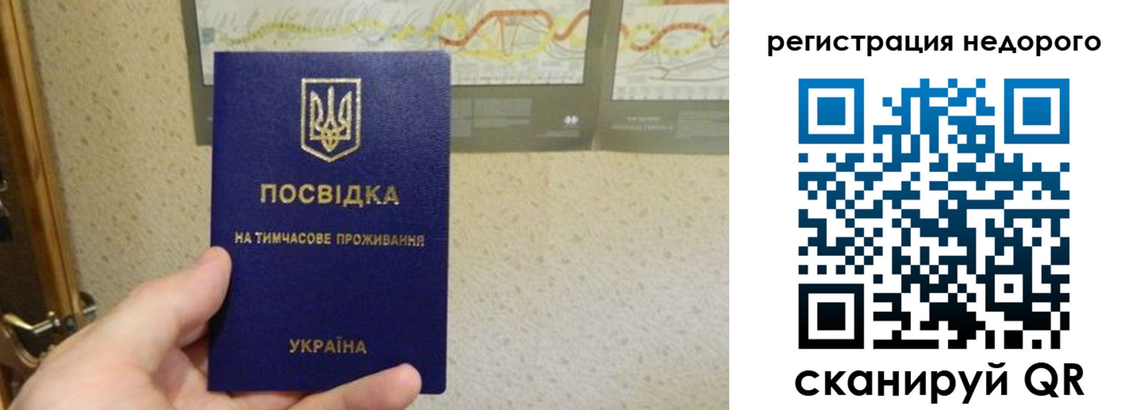 прописка для работы в Реутове